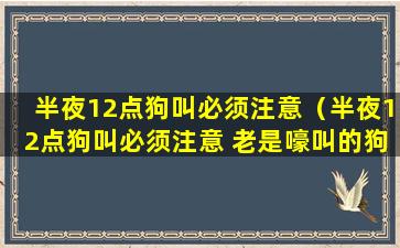 半夜12点狗叫必须注意（半夜12点狗叫必须注意 老是嚎叫的狗能养吗）